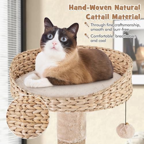 PETSITE 65 inchMulti-Level Cat Tree with Scratching Posts, Cat Bed & Dangling Balls