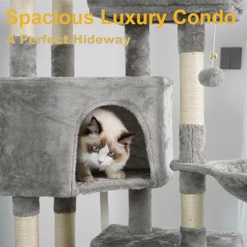 Multi-Level Cat Tree for Big Cats - Cat Condo - Cat Climbing Tower