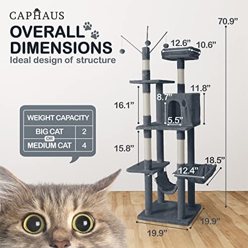 Tall Cat Tree for Indoor Cats: 70-Inch Modern Climbing Play Tower with Perch