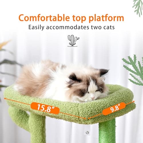 Cat Tree for Indoor Cats - Cactus Tower Condo - Green and Yellow