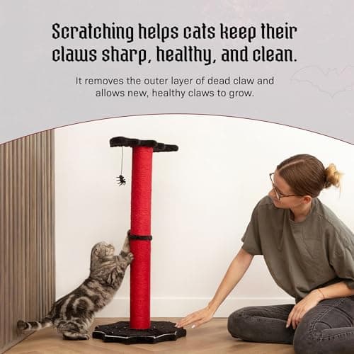 Gothic Cat Scratcher, 34" Sturdy Spider Web Base, Bat Top, Black & Red