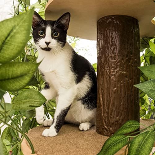 USA-Made On2 Pets Cat Tree & House, Multi-Level Activity Center