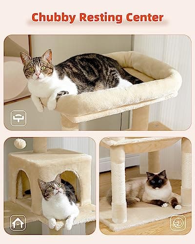 PETEPELA 56.3" Multi-Level Cat Tree with Scratch Posts, Condos, Hammock & Plush Perches Beige