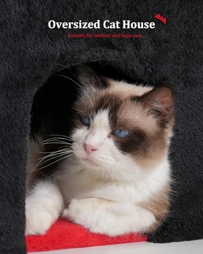 Gothic Cat Condo Cave, Spacious Indoor Bed for Large Cats, Red Black