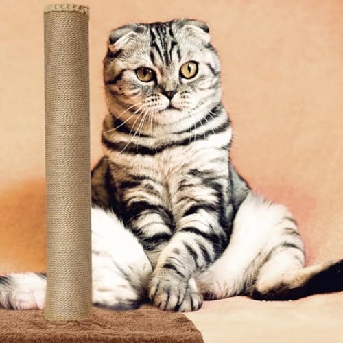 Milisten Cat Climbing Tower with Replacement Platform and Bed Accessory