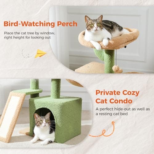 Petepela Green Cactus Cat Tree for Indoor Kittens