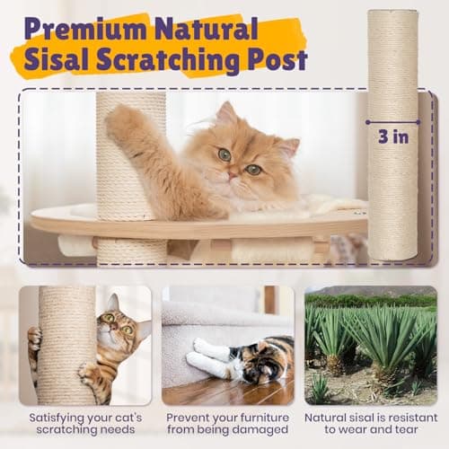 Solid Wood Cat Tree with Hammock, Scratching Posts, and Platforms - 56.3 Multi-Level Cat Tower