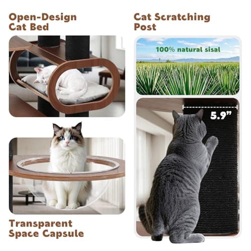 Modern 71'' Black Solid Wood Cat Tree, Multi-Level with Transparent Bed