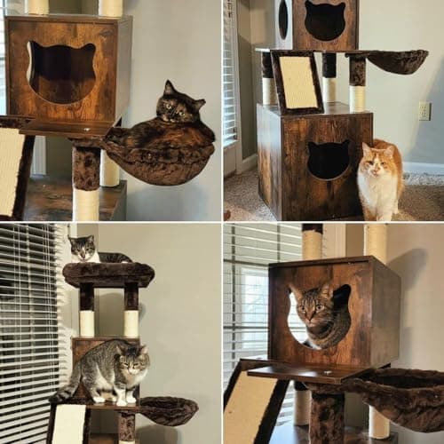 Modern Cat Tree with Litter Box Enclosure and Large Tower for Large Cats