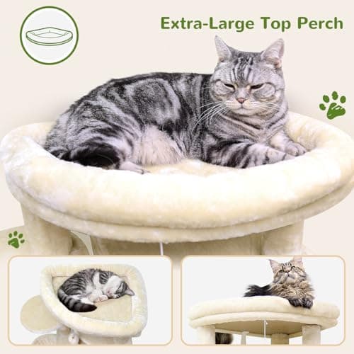 66 Inch Tall Curved C66 Cat Tree with 6 Scratching Posts & Indoor Condos