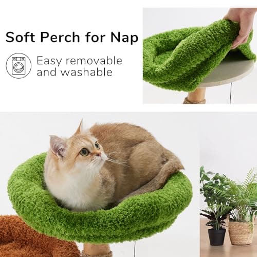 Fukumaru Small Cat Tree with Scratch Post & Wand Toy