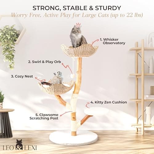 Solid Wood Modern Cat Tree Tower, Scratching Post & Bed for Large Cats