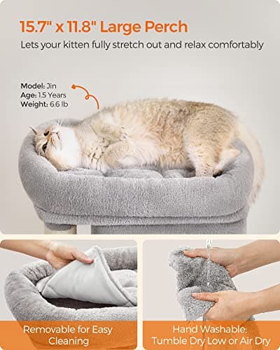 Feandrea Light Gray Cat Tree for Kittens Up to 7 lbs