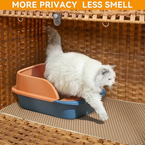 Handwoven Rattan Cat House with Door for Large Cats, Natural Enclosure Furniture