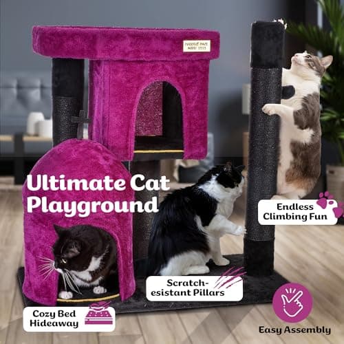 Gothic Black Cat Tree with Coffin Bed & Halloween Decor