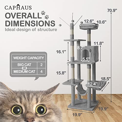 CAPHAUS 70-Inch Multi-Level Cat Tree with Hammock & Scratching Posts