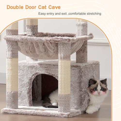 Heybly Cat Tree: Kitten Tower with Soft Basket & Spacious Bed for Indoor Cats