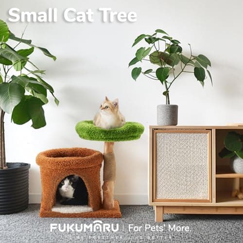 Fukumaru Small Cat Tree with Scratch Post & Wand Toy
