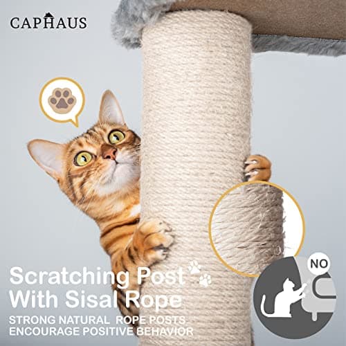 CAPHAUS 70-Inch Multi-Level Cat Tree with Hammock & Scratching Posts