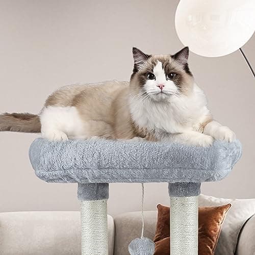 Kiyumi Multi-Level Cat Tree with Scratching Post & Hammock for Indoor Cats