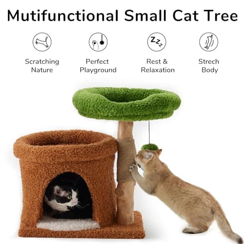 Fukumaru Small Cat Tree with Scratch Post & Wand Toy