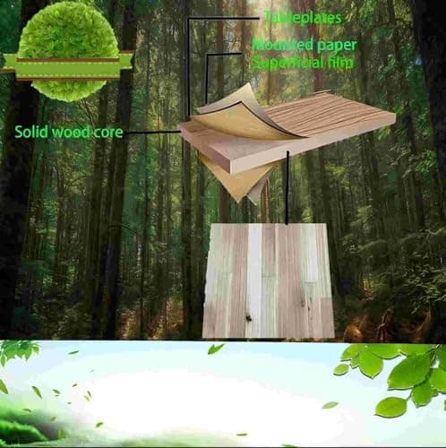 Eco-Friendly Litter Box Enclosure with Removable Divider