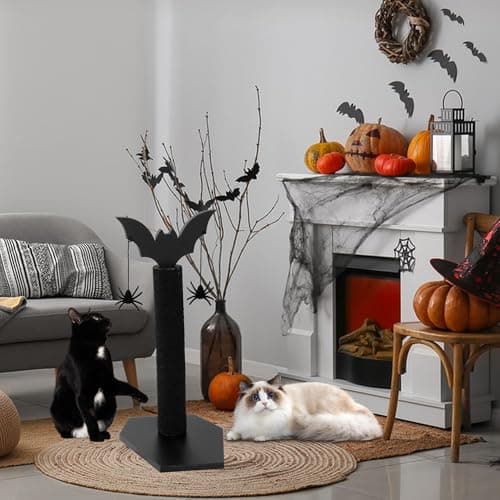 ROYALAY Black Halloween Cat Scratcher with Dangling Toys