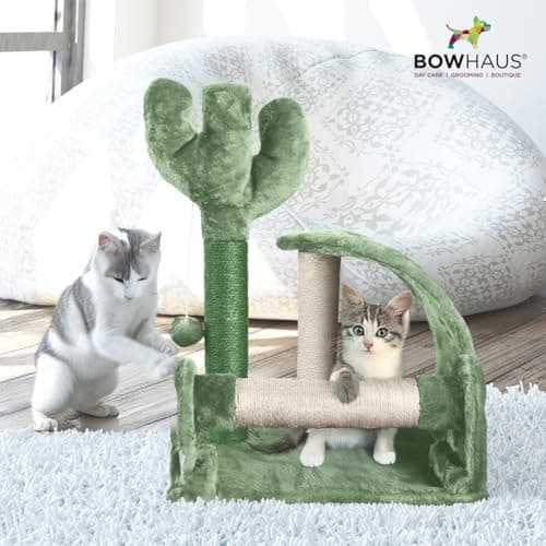 CAPHAUS Green 20-Inch Cactus Cat Tree with Scratching Board & Toy