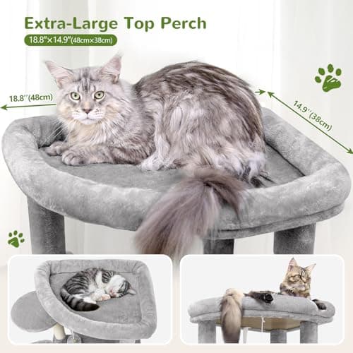 66-inch Tall Curved C66 Cat Tree for Large Cats with 6 Scratching Posts & 2 Condos