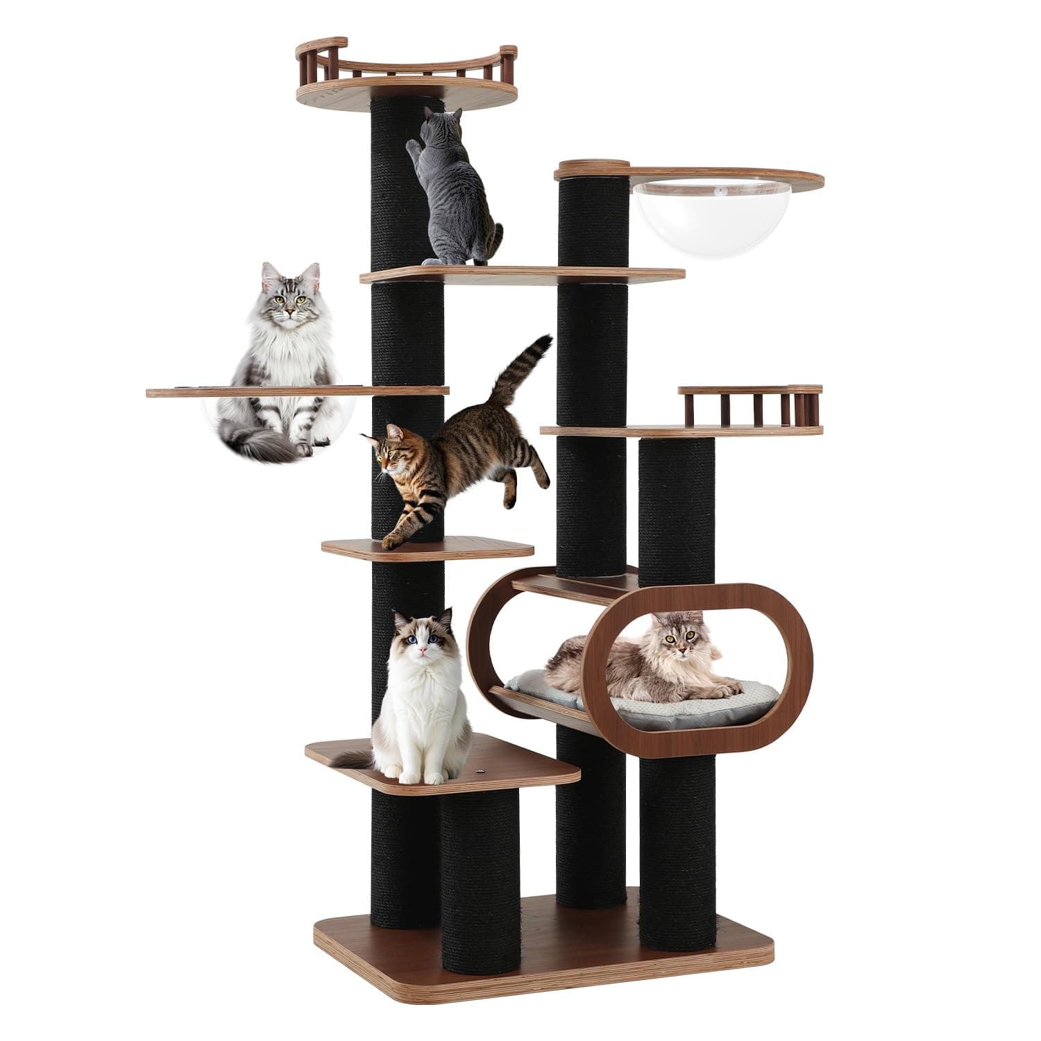 Modern 71'' Black Solid Wood Cat Tree, Multi-Level with Transparent Bed