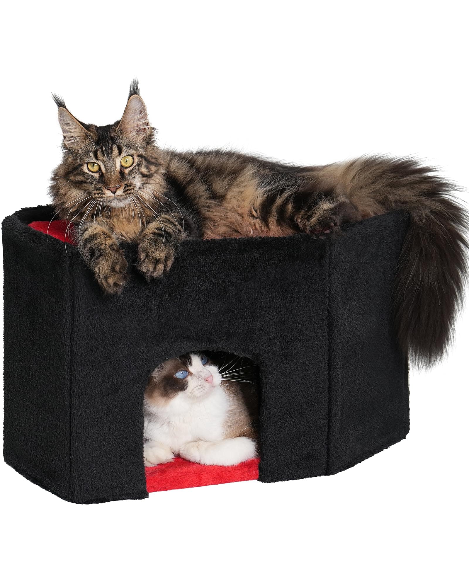 Gothic Cat Condo Cave, Spacious Indoor Bed for Large Cats, Red Black
